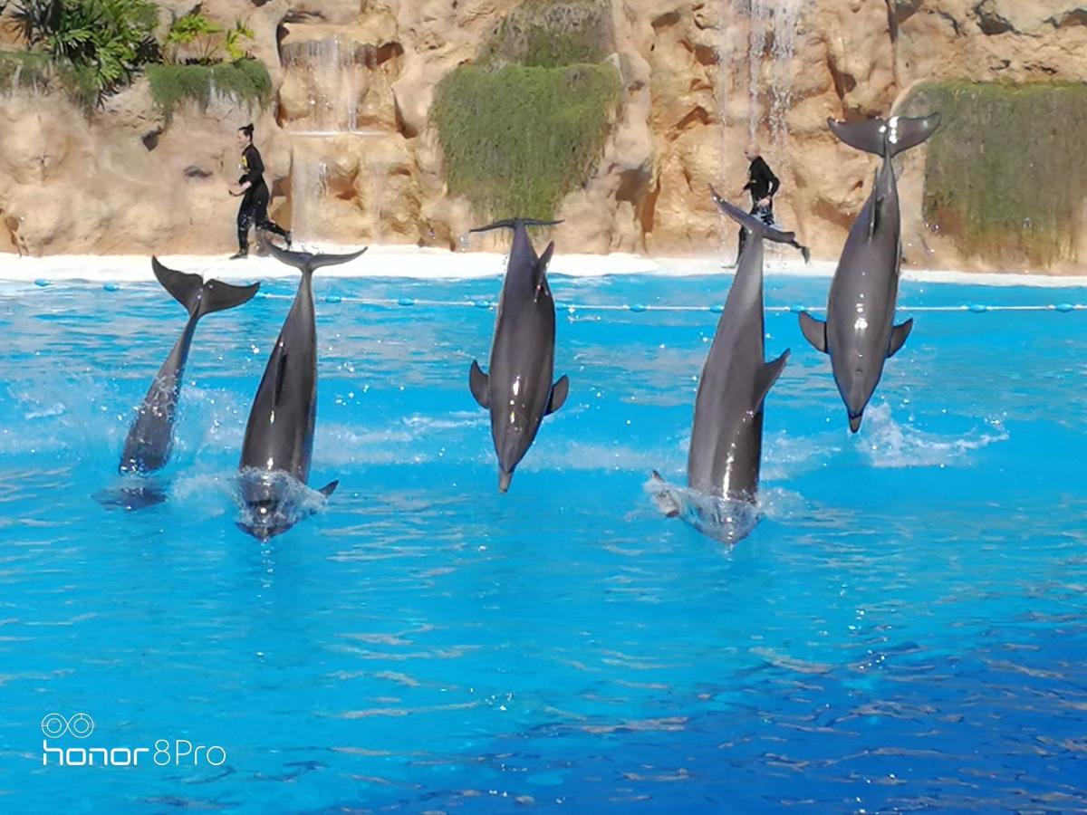 شقة The Terrace On The Sea Caleta de Interián المظهر الخارجي الصورة